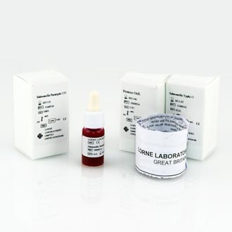 Febrile Antigen Kit + Controls